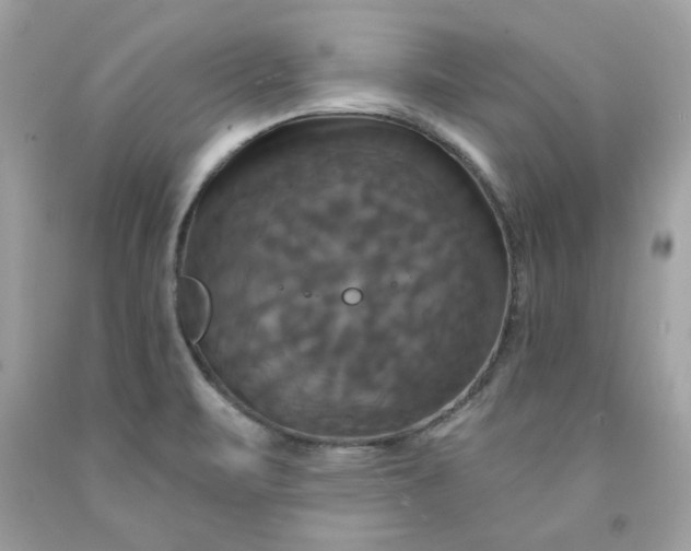 X0000091641471200709060927
