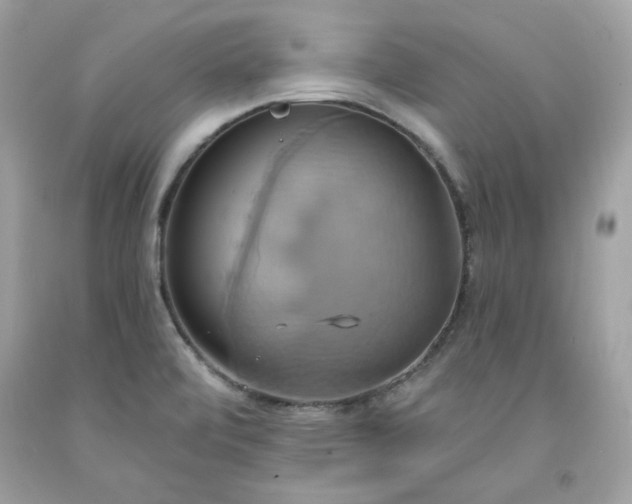 X0000091641472200709060927