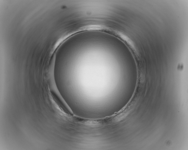 X0000091641473200709060926