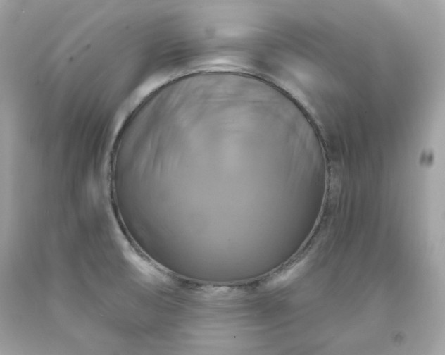 X0000091641474200709060926