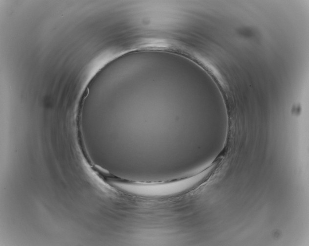 X0000091641475200709060926