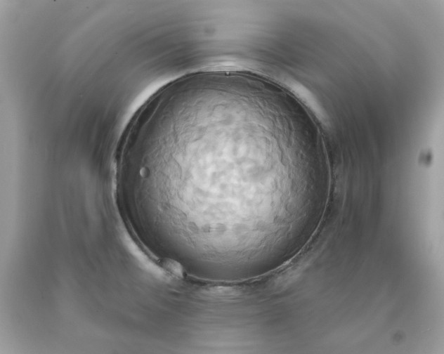 X0000091641476200709060926
