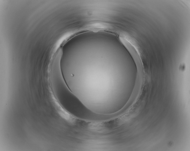 X0000091641477200709060926