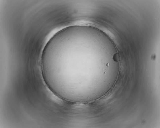 X0000091641478200709060926