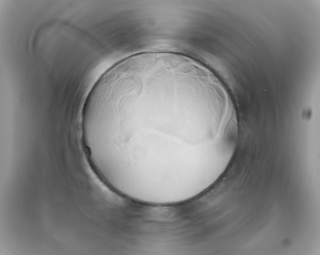 X0000091641479200709060926