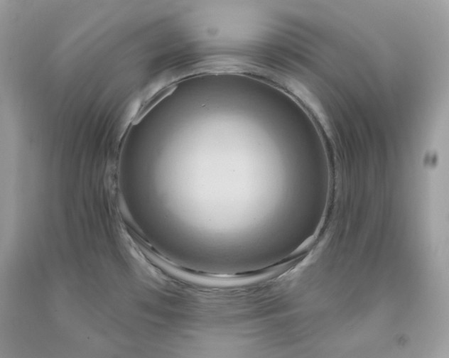 X0000091641481200709060926