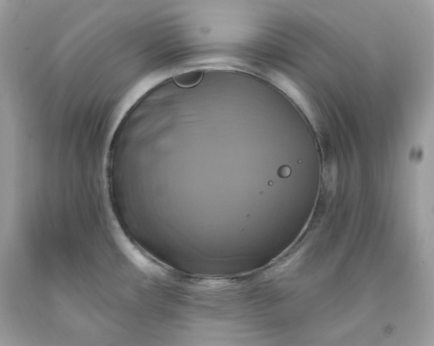 X0000091641482200709060926