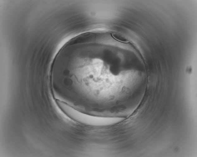 X0000091641483200709060926