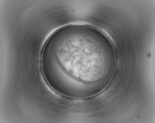 X0000091641484200709060926