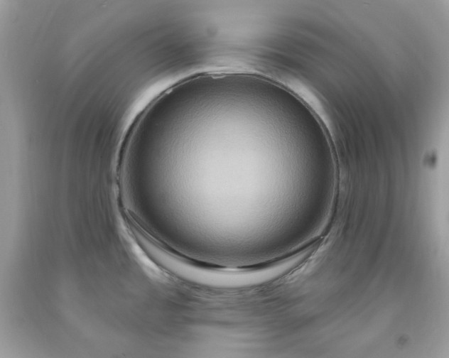 X0000091641485200709060926