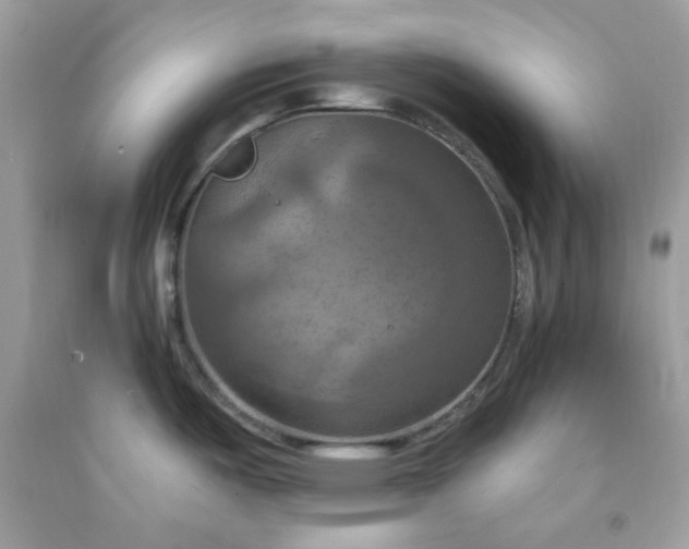 X0000091641487200709060926