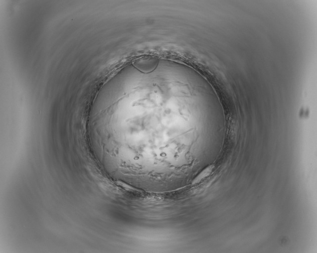 X0000091641489200709060926