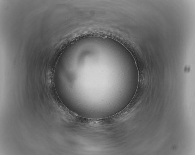 X0000091641490200709060926