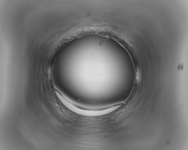 X0000091641492200709060926