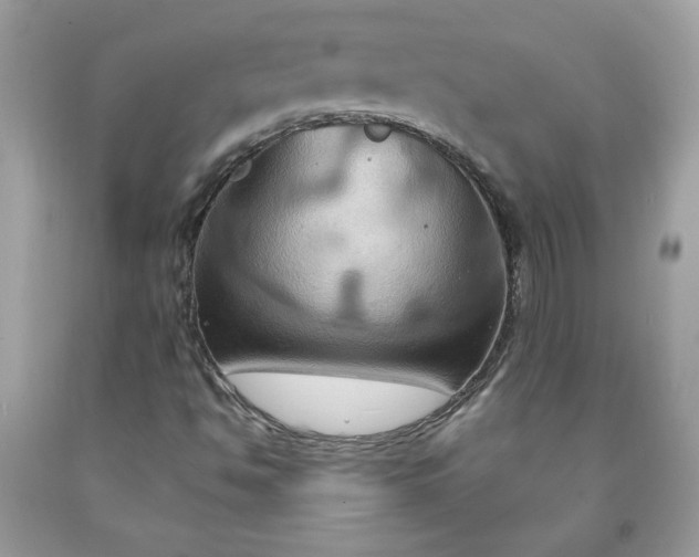 X0000091641494200709060926