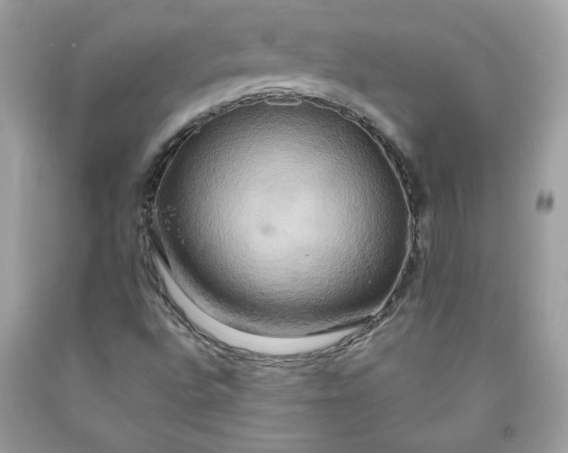 X0000091641496200709060926