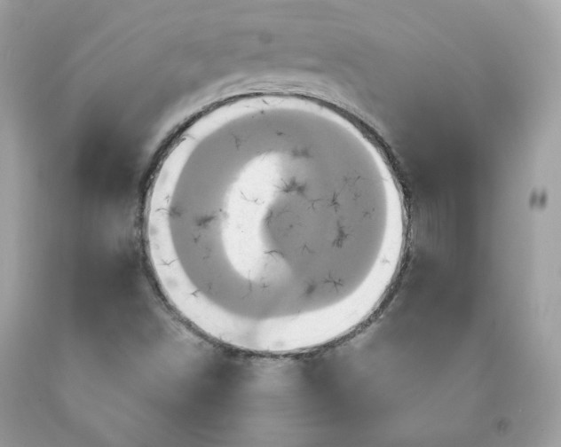 X0000091641498200709060926