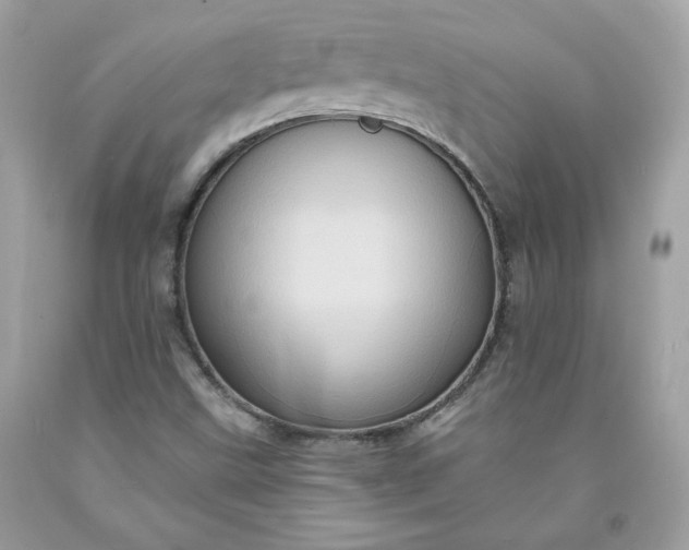 X0000091641499200709060926