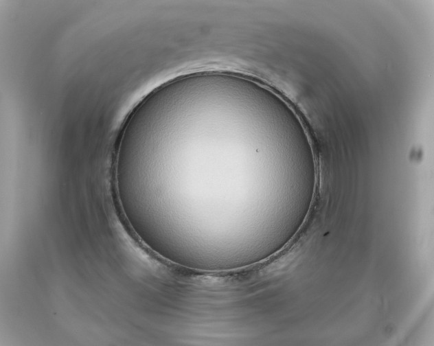 X0000091641500200709060926