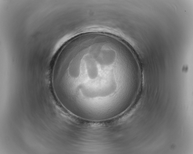 X0000091641501200709060926