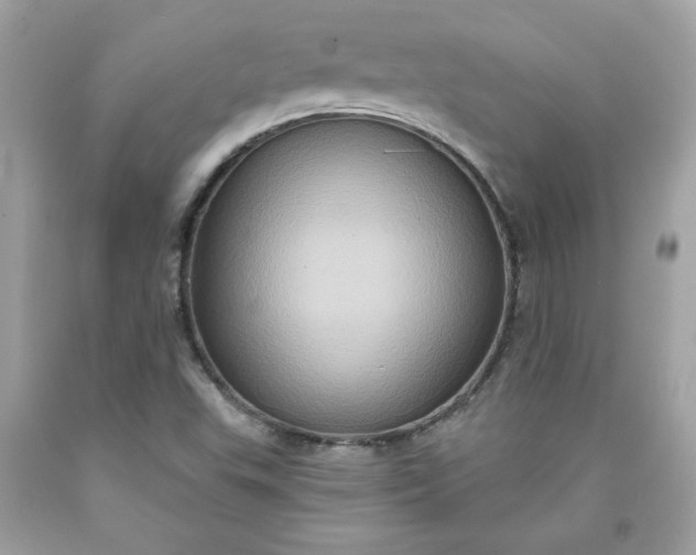 X0000091641503200709060926