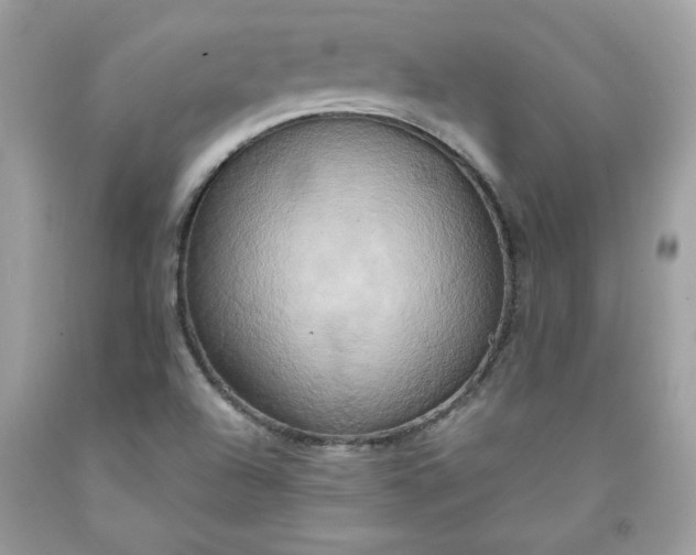 X0000091641504200709060926