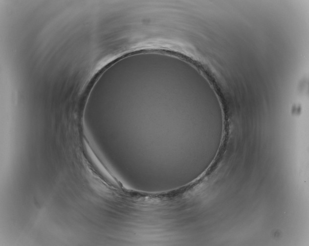 X0000091641505200709060926