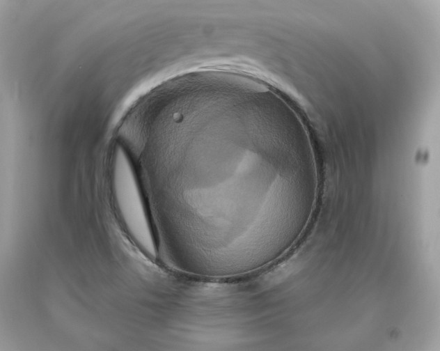 X0000091641506200709060926