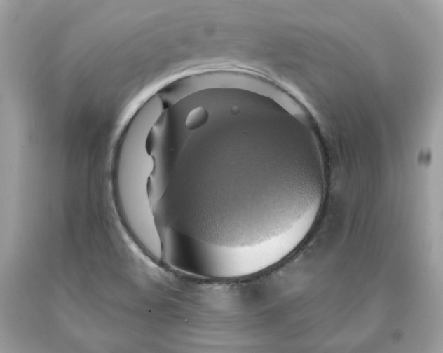 X0000091641508200709060926