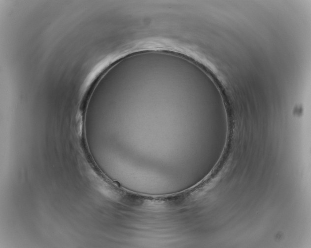 X0000091641509200709060926