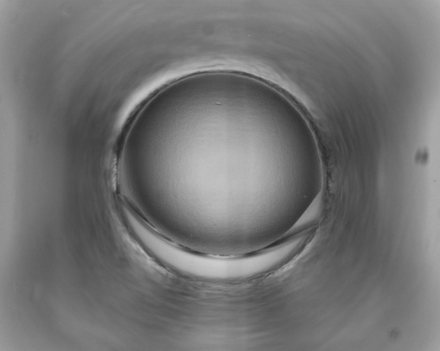 X0000091641510200709060926