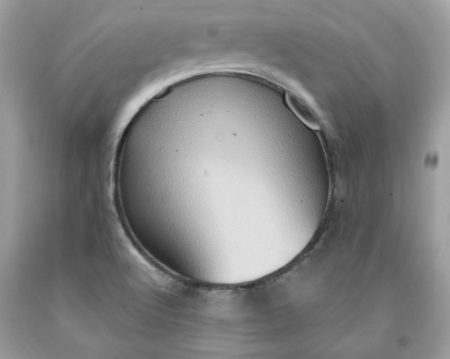 X0000091641512200709060926