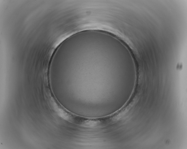 X0000091641513200709060926