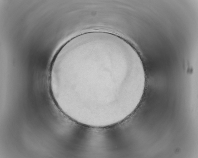 X0000091641514200709060926