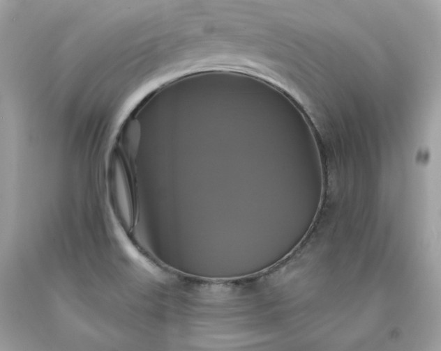 X0000091641515200709060926