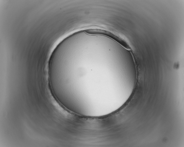 X0000091641516200709060926