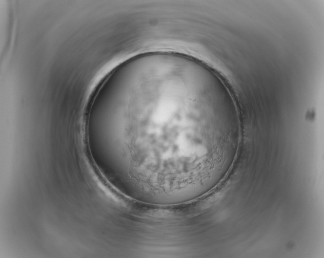 X0000091641517200709060926