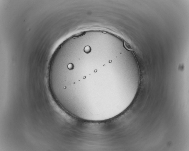X0000091641518200709060926