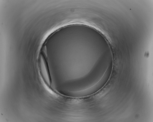 X0000091641519200709060926