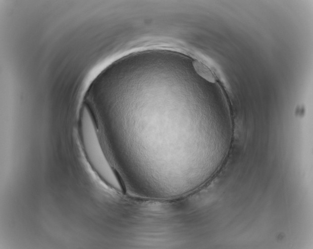 X0000091641520200709060926