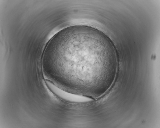 X0000091641521200709060926
