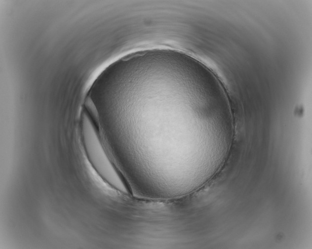 X0000091641524200709060926