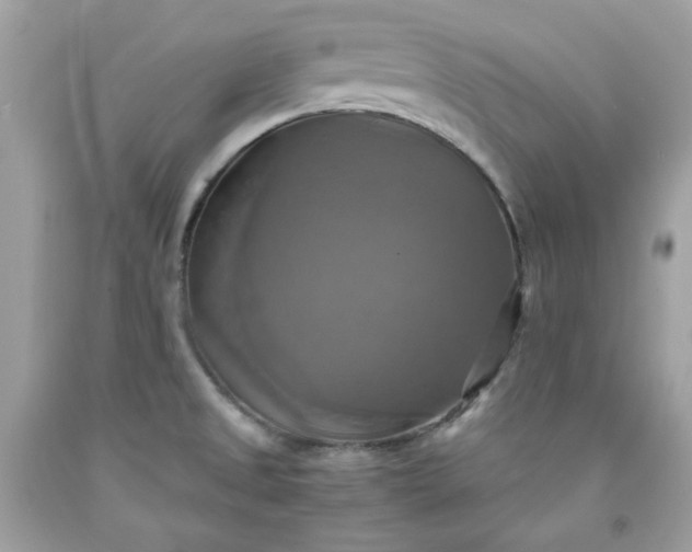 X0000091641525200709060926