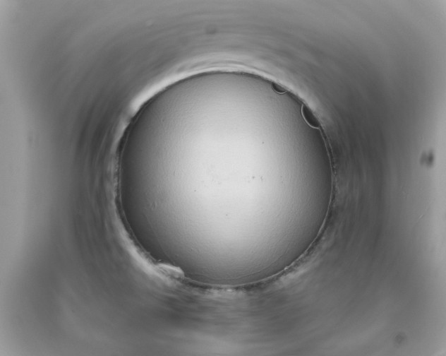 X0000091641526200709060926