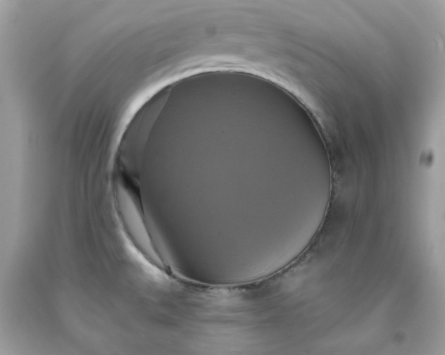 X0000091641527200709060926