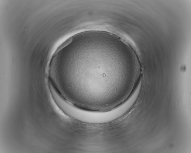 X0000091641528200709060926