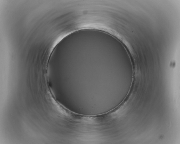 X0000091641529200709060926