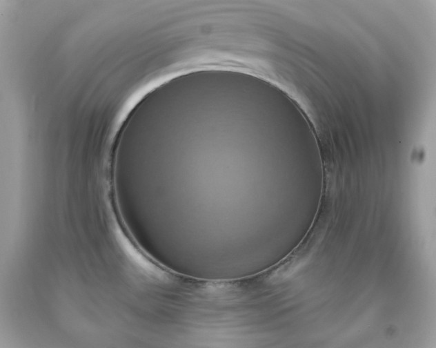 X0000091641531200709060926