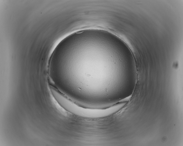X0000091641532200709060926