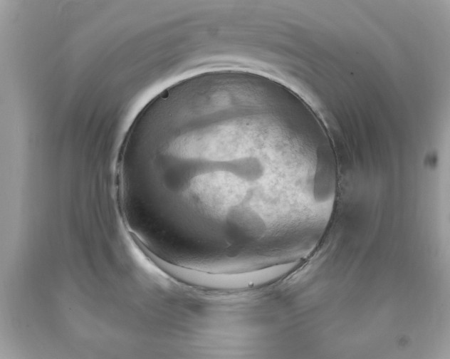 X0000091641535200709060926
